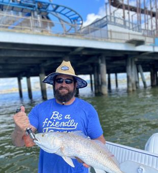 Galveston's Redfish Encounter!